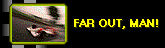 Far Out, Dude
