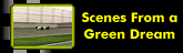 Green Dream Scene