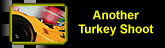 anotehr turkey shoot