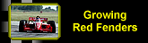 growing fenders