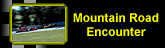 mountian road encounter